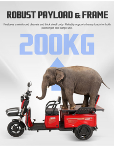 Triciclo Cargador para Uso Agrícola, 800W 1000W, Triciclo de Servicio Pesado de 3 Ruedas para Transporte de Mercancías, Entrega de Última Milla - Product Image 6