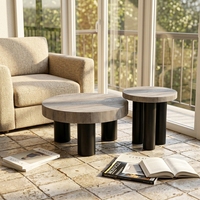 Ensemble de tables basses modernes, durables et luxueuses, en MDF écologique, style minimaliste, rondes, pour le salon
