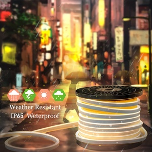 Linh Hoạt Tùy Chỉnh Siêu Sáng Cuttable <span class=keywords><strong>220V</strong></span> Miễn Phí Cắt Silicon <span class=keywords><strong>Rgb</strong></span> <span class=keywords><strong>Led</strong></span> <span class=keywords><strong>Neon</strong></span> Ống <span class=keywords><strong>Flex</strong></span> <span class=keywords><strong>Led</strong></span> <span class=keywords><strong>Neon</strong></span> Top View <span class=keywords><strong>Led</strong></span> <span class=keywords><strong>Neon</strong></span> <span class=keywords><strong>Flex</strong></span> 12V - Product Image 3