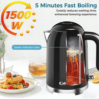 Bouilloire électrique en acier inoxydable avec couvercle transparent pour café, lait, usage domestique et hôtelier