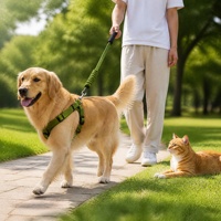 Laisse pour chat et chien avec ruban décoratif, poignée rembourrée en mousse confortable, corde en alliage multicolore