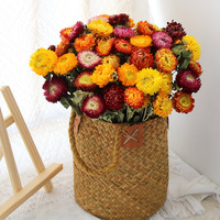 Produits les plus vendus de l'usine : Chrysanthèmes séchés longue durée pour la décoration intérieure – Qualité supérieure et longue durée