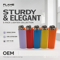 Briquet à gaz jetable classique en gros, rechargeable, en plastique, format poche, avec certificat ISO pour fumeurs