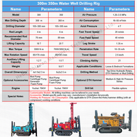 Foreuse rotative hydraulique diesel pour puits profonds de 300 m, pour usage industriel et agricole
