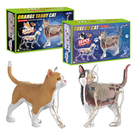 Maquette d'anatomie réaliste de chat bleu, jouet éducatif interactif STEM pour les démonstrations en classe de sciences et d'ingénierie, avec étui de présentation
