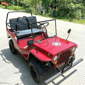 2 posti a Gas 150cc Jeep forte corpo guscio carburante azionato fuoristrada veicolo <span class=keywords><strong>di</strong></span> intrattenimento per chi ama il brivido - Product Image 4