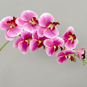 Longue durée 9 têtes Phalaenopsis UV protégé Latex <span class=keywords><strong>fleurs</strong></span> vraie touche artificielle balcon Rail <span class=keywords><strong>d</strong></span>écor Faux forme retenue - Product Image 4