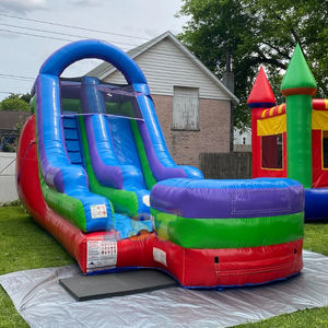 Grands toboggans gonflables avec piscine toboggans pour enfants et adultes toboggans commerciaux jeux de fête d'arrière-cour - Product Image 1