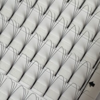 Extensions de cils pré-faits à tige longue avec logo personnalisé, marque privée, volume premium 3D/4D/5D/6D, noir mat