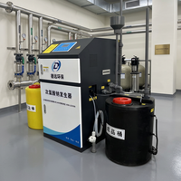 Générateur d'hypochlorite de sodium DeYuan avec pompe PLC, production de 100 L/heure, fonctionnement stable, dispositif de désinfection pour usage industriel