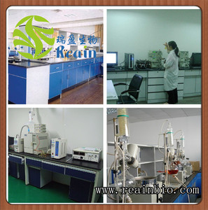 Tự nhiên nhân sâm đỏ chiết xuất năng lượng Boost hỗ trợ sức khỏe tim mạch 10:1 Hàn Quốc nhân sâm đỏ chiết xuất - Product Image 5