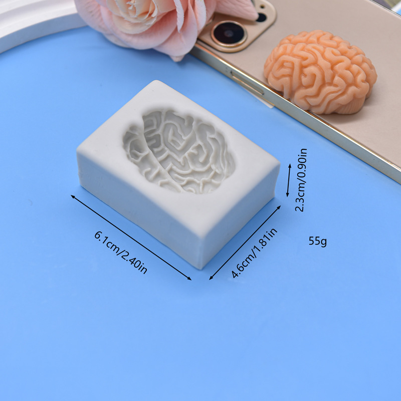 Cerveau BS466-02