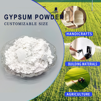 Poudre de gypse de qualité supérieure pour l'agriculture, prix de la poudre de gypse par tonne, poudre de gypse pour l'amélioration des sols