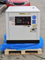 Générateur à gaz 20KW 30KW Groupe électrogène silencieux à haut rendement Équipement électrique industriel GNC/GNL/GPL pris en charge