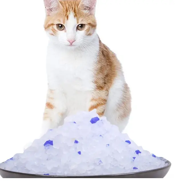 Campione gratuito disponibile senza grumi leggeri e duraturi efficacia gel di silice cristallo lettiera per gatti