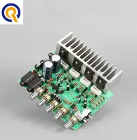 Papan Amplifier Audio 250W*2 HIFI Stereo Amplifikasi Digital Reverb Pengontrol Nada Power Amplifier