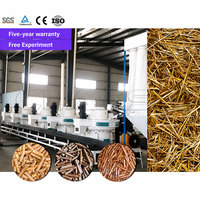 Machine de fabrication de granulés de bois, sciure, coques de riz, paille et résidus agricoles de qualité supérieure – Fournisseur industriel