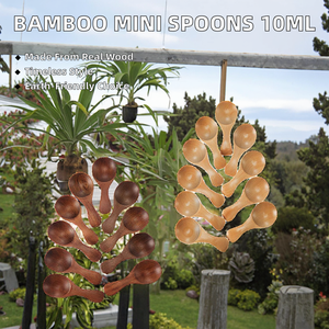 ช้อนไม้ไผ่ขนาดเล็ก รุ่นคลาสสิคใหม่ ปี 2025 สำหรับใส่เครื่องปรุงรส 10 มล. เป็นมิตรกับสิ่งแวดล้อม ด้ามจับสั้น เหมาะสำหรับงานปาร์ตี้ ใช้ใส่เกลือ น้ำผึ้ง - Product Image 2