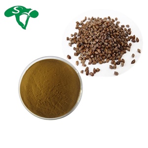 טוהר גבוה טבעי jue Ming zi זרע אבקת casia - Product Image 2