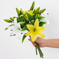 Mini-lys artificiels en PVC à 3 têtes, toucher réel, pour centres de table de mariage, décoration florale intérieure d'hôtels (vente en gros)