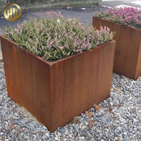 Grandes boîtes de jardinage surélevées en métal pour l'extérieur, lits de plantation en acier à usage domestique