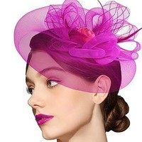 Topi Desain Mawar Logo Bunga Jaring Bulu Pengantin Baru Model ZQ027 Aksesoris Rambut Gaun Teh Wanita Buatan China