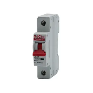 QJC ISO CE 10KA BD1-80S Type MCB 1P AC MCB Miniature Circuit Breaker 250V Single pole G1 Disjoncteur DIN Rail Type C MCB