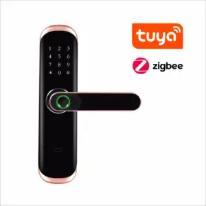 Tuya Zigbee Kunci Pintu Cerdas, Kunci Biometrik Sidik Jari, Kunci Pintu Digital Tanpa Kunci
