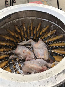Équipement d'abattage automatique de volailles (poulets, oies, canards) – Machine à épiler pratique pour l'épluchage des plumes de volailles - Product Image 6