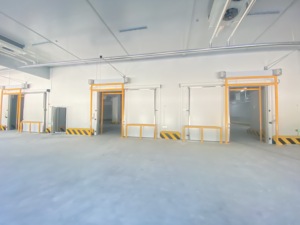 غرفة تبريد بضاغط لتخزين الخضروات والفواكه، موفرة للطاقة وقابلة للتخصيص حسب الحجم - Product Image 5