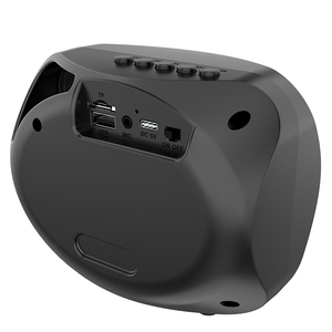 Mini Xách Tay Âm Thanh Tích Hợp Microphone Bt Loa Ngoài Trời Loa Di Động Máy Karaoke Với Microphone - Product Image 5