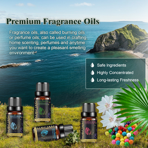 Vente en gros <span class=keywords><strong>de</strong></span> 0.33oz 10ml d'huiles parfumées OEM pour la fabrication <span class=keywords><strong>de</strong></span> bougies et <span class=keywords><strong>de</strong></span> diffuseurs d'arômes - Product Image 4