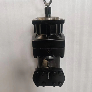 Moteur hydraulique à axe coudé (à déplacement fixe) F10/F11/F12 F12-250-QF-SV-S-000-0000-P0 F12-250-QF-SV-S - Product Image 1