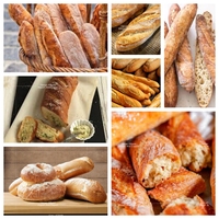 Machine à Diviser la Pâte pour Baguettes, Hot Dogs et Toasts, Meilleure Vente, Équipement de Boulangerie et de Restauration Professionnel