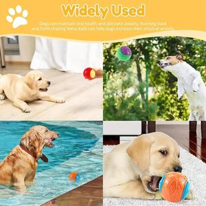 Gıcırtılı köpek topu scoobydoo tasarım diş temizleme yavru çiğnemek oyuncaklar Pet interaktif hareket eğitim topları - Product Image 5