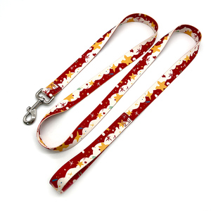 Laisse et collier de marche pour chien avec motif imprimé de logo personnalisé ensemble avec poignée rembourrée - Product Image 2