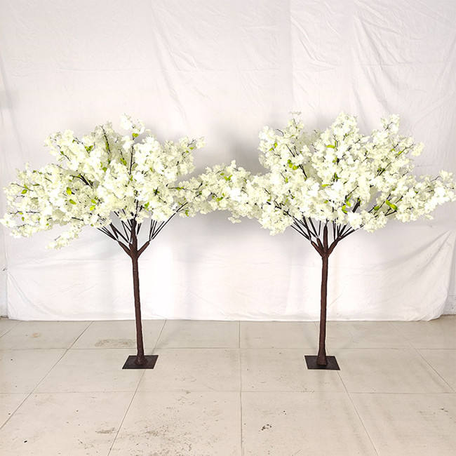 cherry blossom tree 5ft