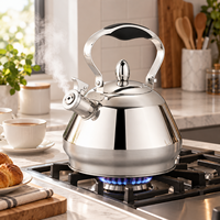 Bouilloire sifflante en acier inoxydable 2,5 L 3 L avec poignée en nylon résistante à la chaleur pour cuisinière à gaz et à induction