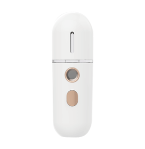 Customized USB Rechargeable skin care facial steamer facial machine Cold Sprayer Mini Facial Nano Mist Spray CE/ROHS