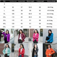 Nouvelle Doudoune Courte à Capuche Légère et Unie pour Femme, Style Coréen, en Duvet de Canard Blanc, Collection Automne 2026 – Vente en Gros