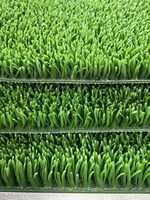 Tapis à semelle épaisse en herbe dorée, durable et réutilisable, vente en gros directe d'usine
