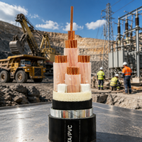 Câble basse tension blindé en fil d'acier avec conducteur en cuivre, isolation XLPE, 0,6/1 KV, modèle CU/XLPE/SWA/PVC pour la construction industrielle