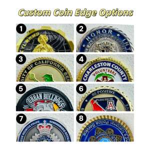 Agen Layanan Khusus AS Koin Maskot ICE Berlapis Emas dari Paduan Seng yang Disesuaikan untuk Layanan Perlindungan Federal, Wisuda, dan Natal - Product Image 4