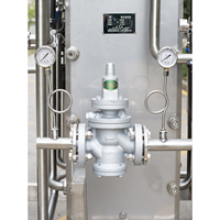 Pasteurisateur instantané de machine de pasteurisation de jus des fruits 1000l pour le jus