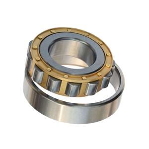 Roulement à rouleaux cylindriques à une rangée NU205EM, précision P5, diamètre intérieur 20 mm, diamètre extérieur 500 mm, joints Z/ZZ/RS/2RS - Product Image 2