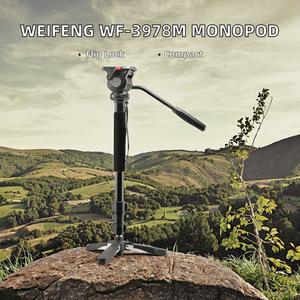 Monopode pour caméra vidéo DSLR Weifeng WF-3978M avec tête fluide, <span class=keywords><strong>trépied</strong></span> pour vidéographie professionnelle - Product Image 6