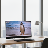 Moniteur de voyage OLED 13,3 pouces avec écran USB-C pour ordinateur portable – Solution de productivité au bureau