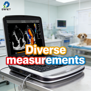 Échographe cardiaque EURVET 4D portable pour usage vétérinaire, <span class=keywords><strong>échographie</strong></span> couleur, radiologie cardiovasculaire, <span class=keywords><strong>échographie</strong></span> <span class=keywords><strong>interne</strong></span> - Product Image 1