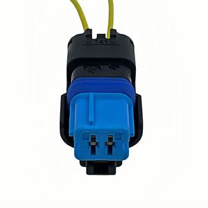 Прямые поставки с завода: 2-контактный автомобильный разъем для жгута проводов 211PC022S6081 - Product Image 4