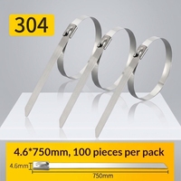 Abrazaderas de Cable de Acero Inoxidable 304L de 4.6x750mm, Abrazaderas Metálicas Resistentes para la Industria de Petróleo y Energía
